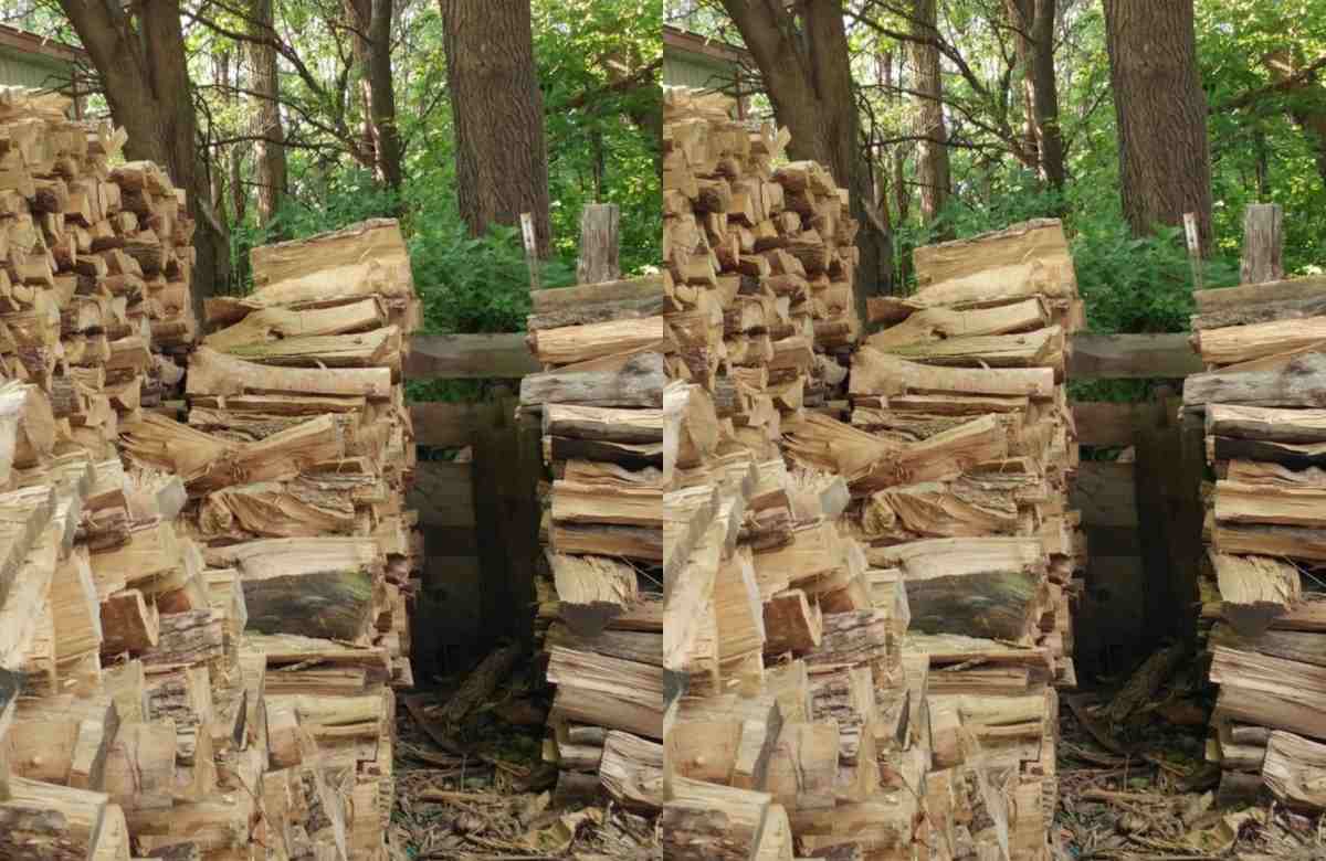 Can you spot a sleeping cat in this optical illusion