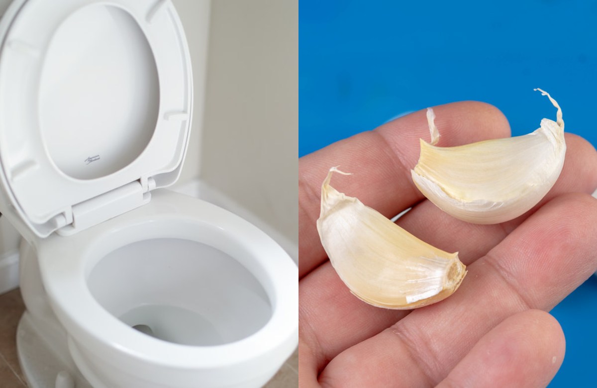 Garlic in Toilet Tips