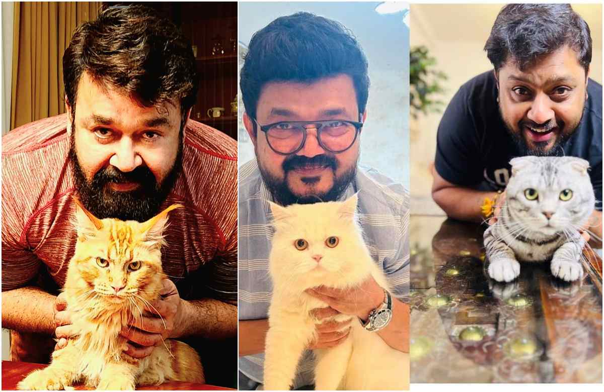 Mohanlal shared pic with his cat simba latest malayalam