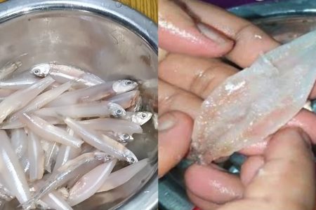 ഇനി എന്തെളുപ്പം! നത്തോലി മീൻ ഇനി ഈസിയായി മുള്ള് കളഞ്ഞ് വൃത്തിയാക്കാം; ഈ ഒരു സൂത്രം മാത്രം മതി!! | Easy Nethili Fish Cleaning