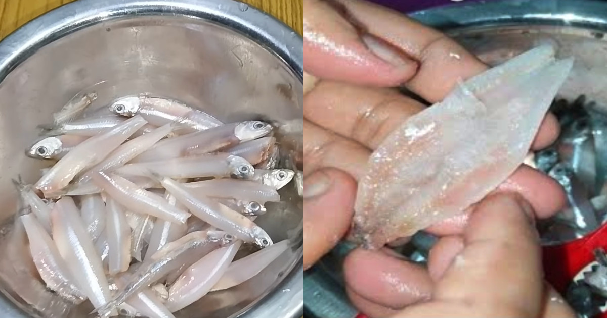 Easy Nethili Fish Cleaning