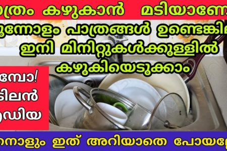 ഈ സൂത്രമറിഞ്ഞാൽ ഇനി ഇങ്ങനെ മാത്രമേ പാത്രം കഴുകൂ; ഇനി മിനിറ്റുകൾക്കുള്ളിൽ പാത്രങ്ങൾ കഴുകി എടുക്കാം!! | Easy Vessels Cleaning Tips