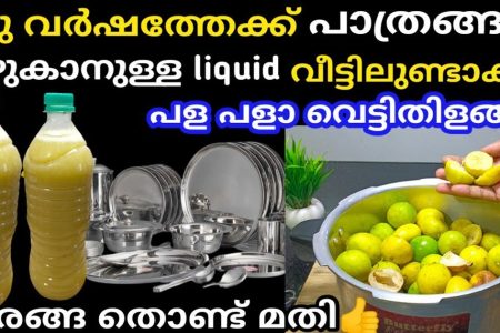 ഇതൊന്ന് തൊട്ടാൽ മതി ഏത് കട്ട കറയുള്ള പാത്രങ്ങളും പള പളാ വെട്ടിത്തിളങ്ങും! 5 പൈസ ചിലവില്ലാതെ വീട്ടിൽ ഉണ്ടാക്കാം!! | Homemade Dishwashing Liquid