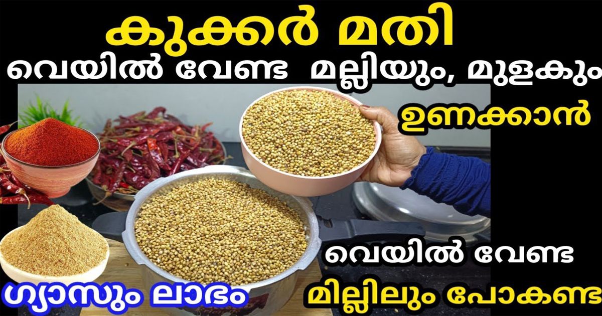 How To Make Coriander And Chilli Powder At Home Easily