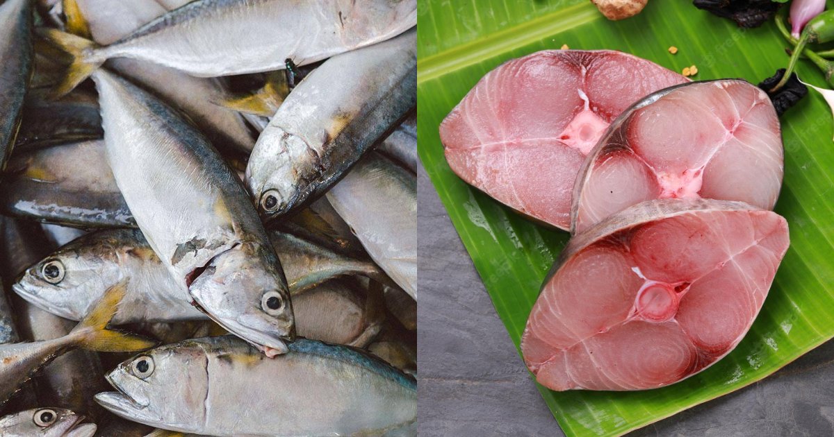 Tips On How To Check If Your Fish Is Fresh