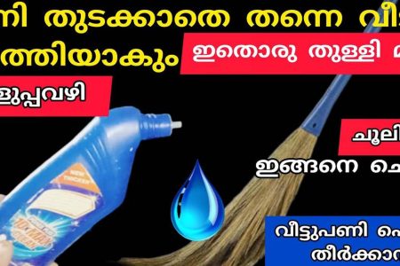 ഇതൊരു തുള്ളി മതി ഇനി വീട് തുടക്കാതെ തന്നെ വൃത്തിയാക്കാം! ചൂലിൽ ഇങ്ങനെ ചെയ്യൂ, വീടുപണി പെട്ടെന്ന് തീർക്കാൻ ഇതാ എളുപ്പവഴി!! | Easy Home Cleaning Tips And Tricks
