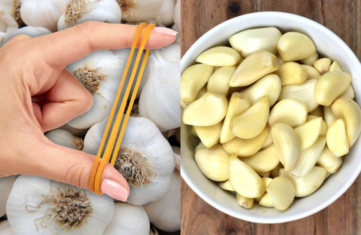 Garlic Peeling Using Rubber Band