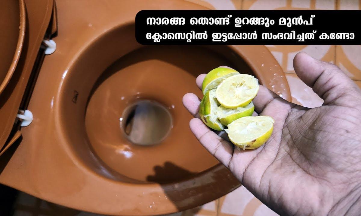 Easy Toilet Cleaning Tips Using Lemon