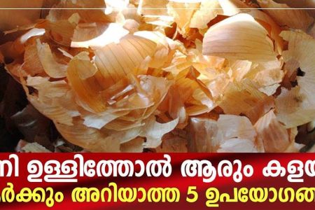 ഉള്ളി തോൽ കൊണ്ട് ഇങ്ങനെ ചെയ്തു നോക്കൂ! ഇനി ഒരിക്കലും ഉള്ളിതോൽ കളയില്ല; 5 ഞെട്ടിക്കുന്ന ഉപയോഗങ്ങൾ!! | 5 Onion Peel Tips
