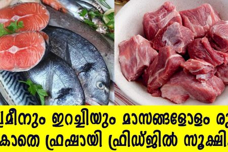 ഈ ഒരു സൂത്രം ചെയ്താൽ മതി! മീനും ഇറച്ചിയും ഇനി മാസങ്ങളോളം രുചി പോകാതെ ഫ്രിഡ്ജിൽ ഫ്രഷായി സൂക്ഷിക്കാം!! | How to Store Fish and Meat in Fridge