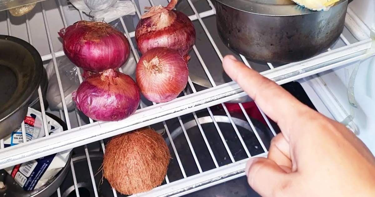 Onion In Fridge Kitchen Tips
