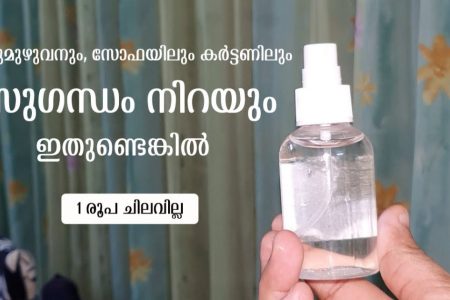 ഇതൊന്ന് സ്പ്രേ ചെയ്താൽ മതി! വീട് മുഴുവനും സോഫയിലും കർട്ടണിലും സുഗന്ധം കൊണ്ട് നിറയും; 1 രൂപ പോലും ചിലവില്ല.!! | Easy Home Freshener