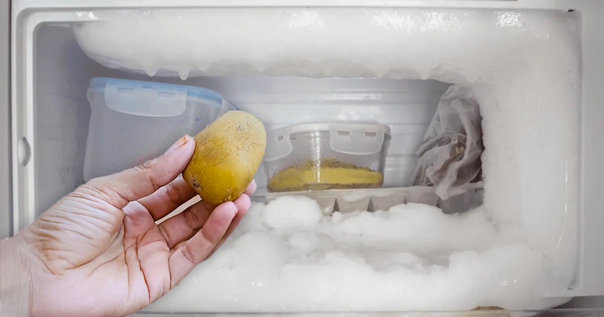 Fridge Over Cooling Using Potato