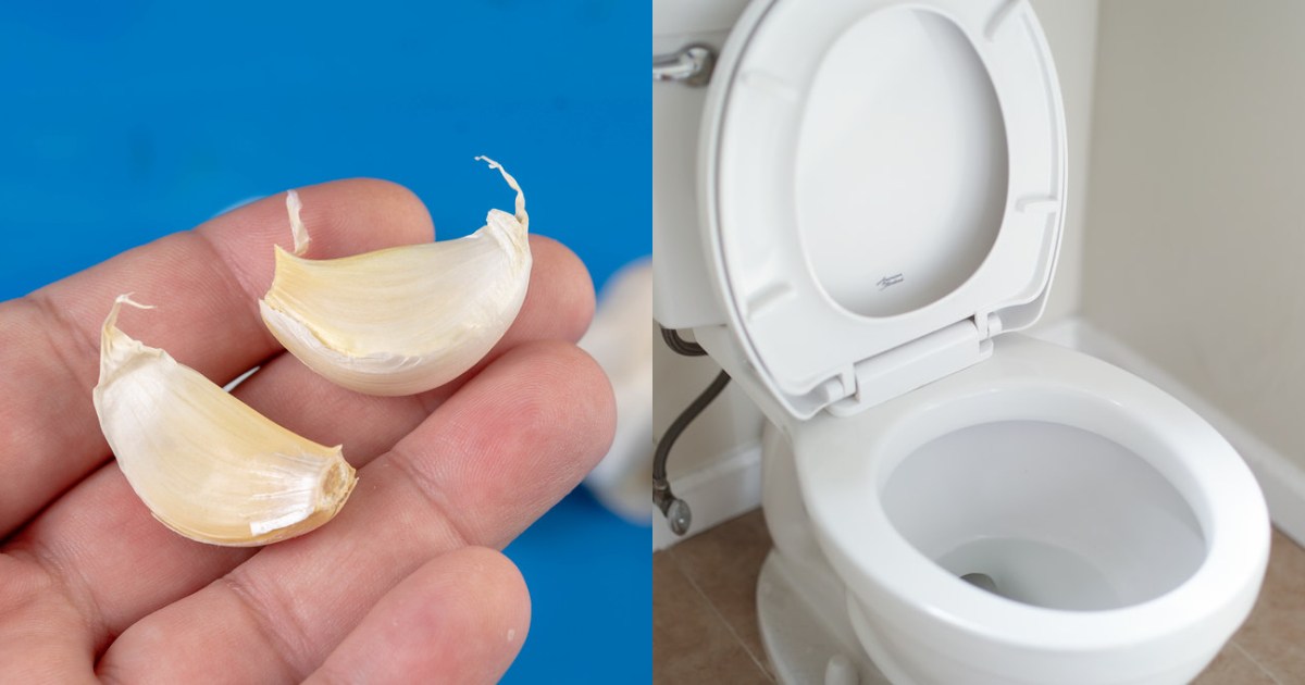 Garlic In Toilets
