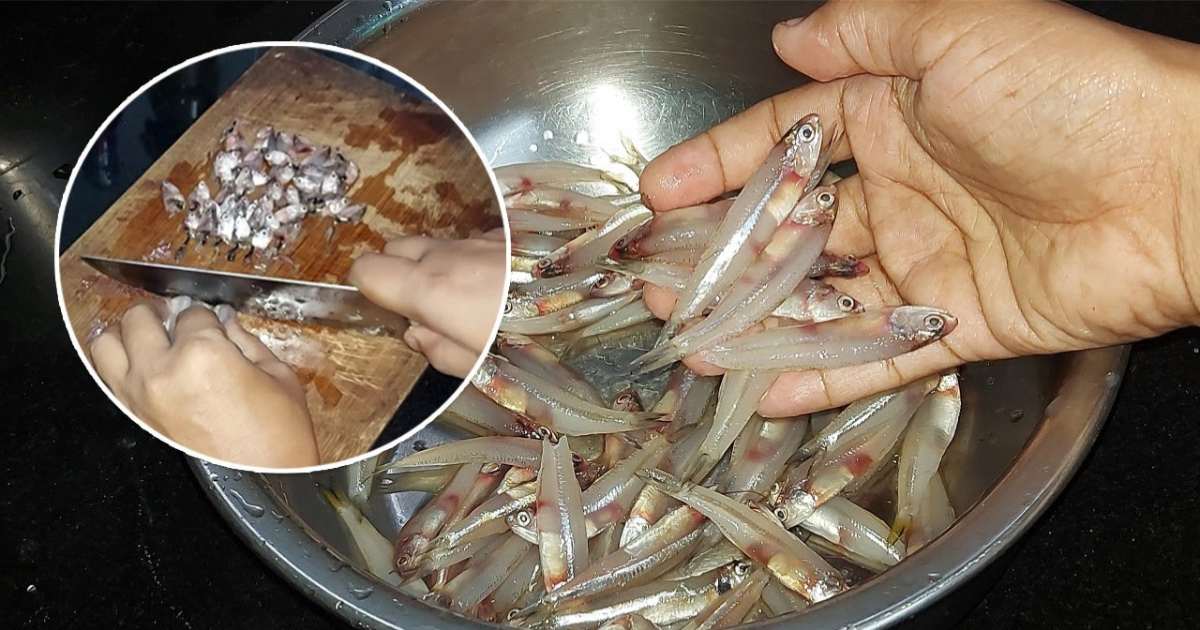 Netholi Fish Cleaning Tips