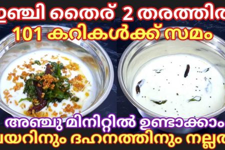 ആരെയും കൊതിപ്പിക്കും രുചിയിൽ ഇഞ്ചി തൈര് ഇതുപോലെ ഒന്ന് ഉണ്ടാക്കി നോക്കൂ! ഇഞ്ചി തൈര് 2 തരത്തിൽ!! | Inji Thayir Pachadi Recipe