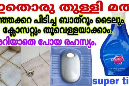 ഇതൊരു തുള്ളി മാത്രം മതി! എത്ര മഞ്ഞക്കറ പിടിച്ച ബാത്റൂം ടൈലും ക്ലോസറ്റും ഒറ്റ മിനിറ്റിൽ തൂവെള്ളയാകും!! | Easy Bathroom Cleaning Tips