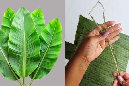 വാഴ നിസ്സാരക്കാരനല്ല! ഒരു കഷ്ണം വാഴ ഇല മതി ഞെട്ടിക്കും 100 കാര്യങ്ങൾ ചെയ്യാം! വേര് മുതൽ ഇല വരെ ഇതുപോലെ ഉപയോഗിക്കൂ!! | Easy Banana Leaf Tips