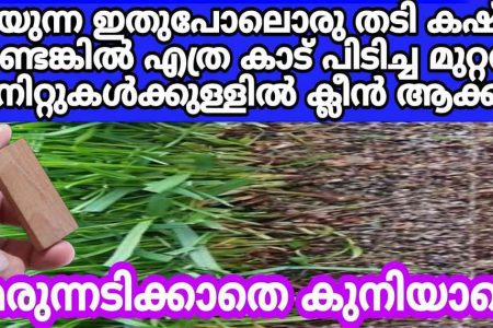 ഒരു ചെറിയ തടിക്കഷണം മതി! എത്ര കാട് പിടിച്ച മുറ്റവും മിനിറ്റുകൾക്കുള്ളിൽ ക്ലീൻ ആക്കാം! കണ്ടു നോക്കൂ നിങ്ങൾ ഞെട്ടും!! | Easy Grass Removing Tips