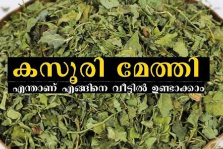 ഇനി ആരും കസൂരി മേത്തി കാശു കൊടുത്തു വാങ്ങേണ്ട! മണത്തിനും രുചിക്കും കസൂരി മേത്തി എടുക്കുന്ന ശരിയായ വിധം ഇതാ!! | Easy Homemade Kasoori Methi