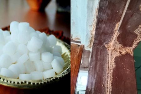 ഒരു കർപ്പൂരം മതി ചിതൽ പ്രശ്നത്തിന് ഒറ്റ സെക്കന്റിൽ ഞെട്ടിക്കും പരിഹാരം! ചിതൽ ഇനി വീടിന്റെ ഏഴയലത്തു വരില്ല! ഇനി വാതിൽ, കട്ടില, ജനൽ എന്നും പുതു പുത്തൻ!! | Easy Get Rid of Termites Using Karpooram