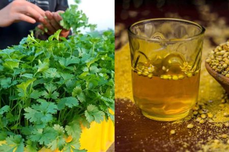 ചട്ടിയോ ബാൽക്കണിയോ മതി! മല്ലി ഇങ്ങനെ നട്ടാൽ കാടു പോലെ വീട്ടിൽ മല്ലി കൃഷി ചെയ്യാം! ഇനി എന്നും മല്ലിയില പൊട്ടിച്ചു മടുക്കും!! | Easy Tip For Corriander Plant Care
