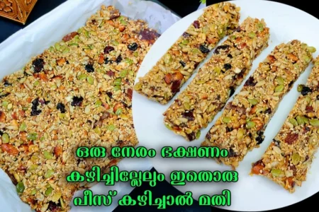 ഹെൽത്തി എന്ന് പറഞ്ഞാൽ ദേ ഇതാണ്! ഭക്ഷണത്തിനു പകരം ഒരു നേരത്തേക്ക് ഇതൊന്നു മതി! മിനുട്ടുകൾക്കുള്ളിൽ കിടു പലഹാരം!! | Healthy Homemade Energy Bar Recipe