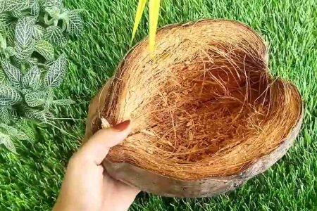 ഇവ നിങ്ങൾ കരുതുന്നത് പോലെ അത്ര നിസ്സാരക്കാർ അല്ല ചകിരിയുടെ തൊണ്ടുകൾ വെറുതെ കളയല്ലേ.!! | Uses Of Coconut Husk